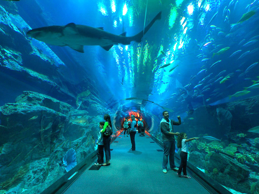 Dubai Aquarium and Underwater